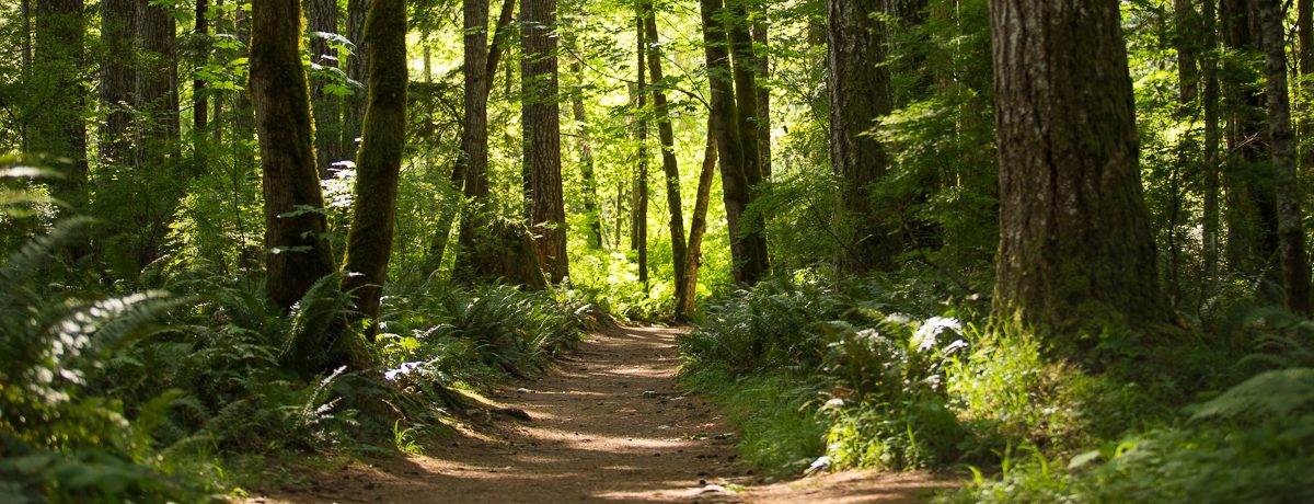 Featured destination: Seal Bay